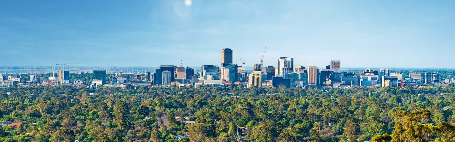 The Adelaide skyline seen across the tree cover of the eastern suburbs