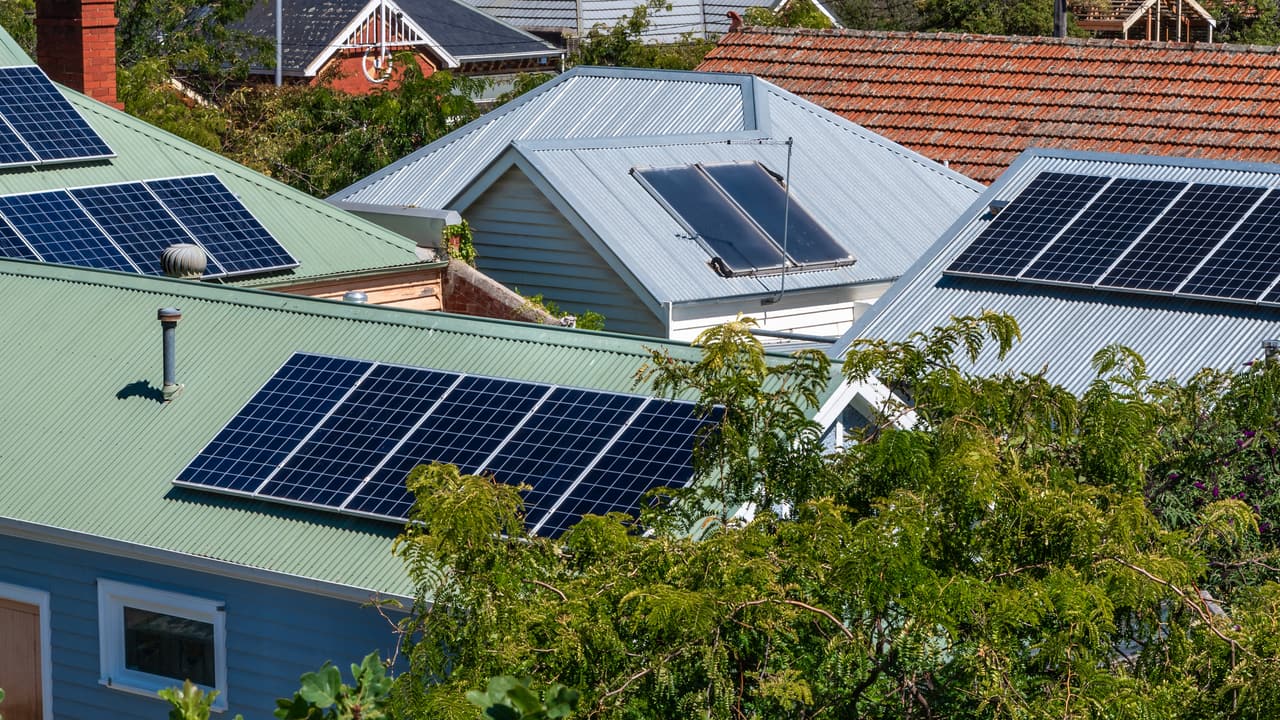Solar panels on the roofs of neighbouring suburban homes, with gum trees between them